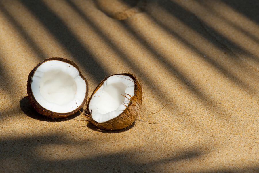 Milk Replacement Options